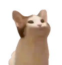 CatPop