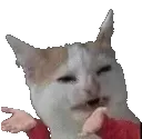 br_cCatWhy br_cCatWhy