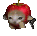 GO_appleCatGun