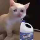 Sadcat1 sadcat1 Discord Emoji