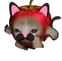 GO_appleCatNeko