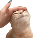 cate3