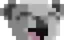 yaykoala