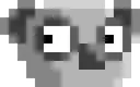 eyeskoala