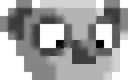 snootkoala