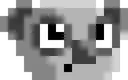 wawkoala