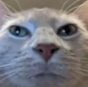 MyFaceWhen
