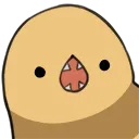 scree
