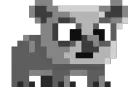 sleepkoala