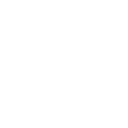 zl_starrynighy