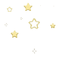zl_sparklel