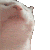 catJAM