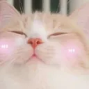 4mi_catblush 4mi_catblush