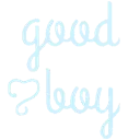 GoodBoy