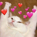 emoji_65 Discord emoji