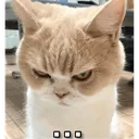 emoji_23