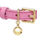 PinkCollar