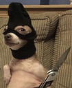 doggostab Discord emoji