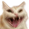 cat_evil