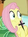 a_flutteroxtis