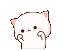 Uwucat UwUCat Discord Emoji