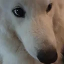 hehe