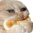 sed_pancake_cat