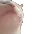 catjam catjam