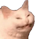 echfacespin