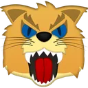 Kentucky Wildcats Discord Emoji
