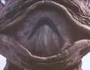 iseeyou