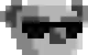 coolkoala