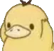 duk