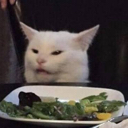 Cat Discord emoji