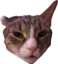 grrr