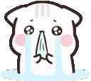 xcry