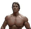 SysbotKing
