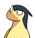 typhowhat