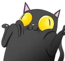 shrugcat shrugcat