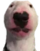 walter