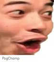 pog pog