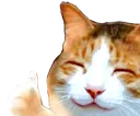 happythumbsupcat