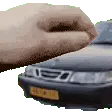 pet_saab pet_saab