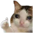 Sad Cat Thumbs Up Sad_Cat_Thumbs_Up Discord Emoji