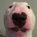 emoji_6 emoji_6