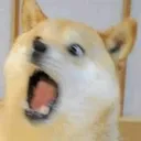 HighEnergyDoge