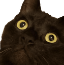 4_guriassustado Discord emoji