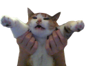 grt_pralina Discord emoji