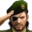 zsalute zsalute