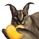 floppaYheart floppaYheart